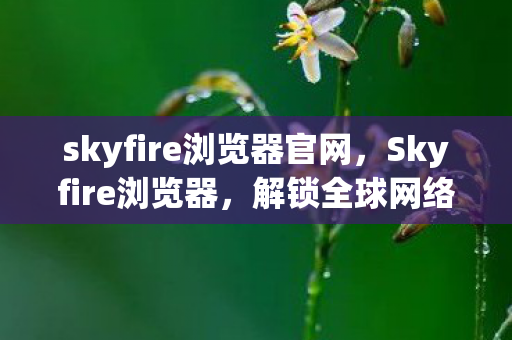skyfire浏览器官网,Skyfire浏览器,解锁全球网络的无界之旅 skyfire浏览器官网,Skyfire浏览器,解锁全球网络的无界之旅