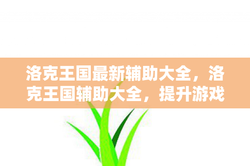 洛克王国最新辅助大全，洛克王国辅助大全，提升游戏效率与乐趣的全方位指南