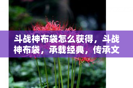 斗战神布袋怎么获得，斗战神布袋，承载经典，传承文化