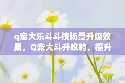 q宠大乐斗斗技场景升级效果,Q宠大斗升攻略,提升战斗力的全面指南 q宠大乐斗斗技场景升级效果,Q宠大斗升攻略,提升战斗力的全面指南