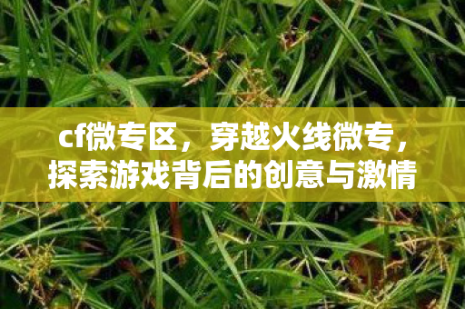 cf微专区，穿越火线微专，探索游戏背后的创意与激情