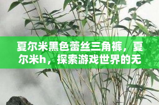夏尔米黑色蕾丝三角裤,夏尔米h,探索游戏世界的无限可能 夏尔米黑色蕾丝三角裤,夏尔米h,探索游戏世界的无限可能