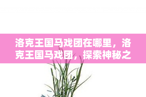 洛克王国马戏团在哪里,洛克王国马戏团,探索神秘之地 洛克王国马戏团在哪里,洛克王国马戏团,探索神秘之地