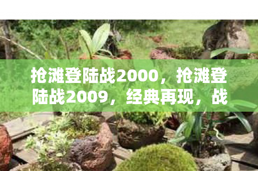 抢滩登陆战2000,抢滩登陆战2009,经典再现,战略与激情的碰撞 抢滩登陆战2000,抢滩登陆战2009,经典再现,战略与激情的碰撞