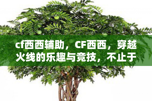 cf西西辅助，CF西西，穿越火线的乐趣与竞技，不止于游戏本身