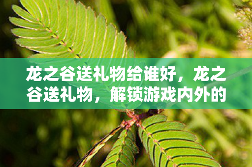 龙之谷送礼物给谁好，龙之谷送礼物，解锁游戏内外的惊喜与感动