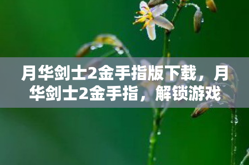 月华剑士2金手指版下载,月华剑士2金手指,解锁游戏新境界的秘籍 月华剑士2金手指版下载,月华剑士2金手指,解锁游戏新境界的秘籍