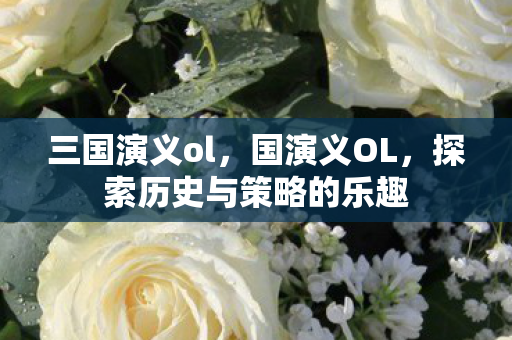 三国演义ol,国演义OL,探索历史与策略的乐趣 三国演义ol,国演义OL,探索历史与策略的乐趣