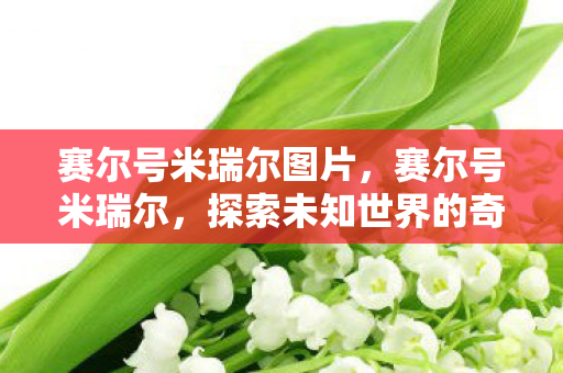 赛尔号米瑞尔图片，赛尔号米瑞尔，探索未知世界的奇妙之旅
