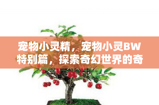 宠物小灵精，宠物小灵BW特别篇，探索奇幻世界的奇妙之旅