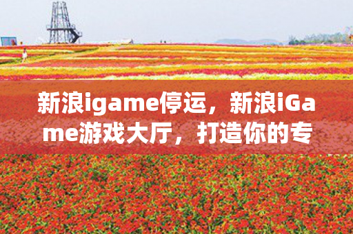 新浪igame停运,新浪iGame游戏大厅,打造你的专属游戏乐园 新浪igame停运,新浪iGame游戏大厅,打造你的专属游戏乐园