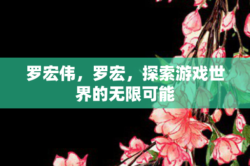 罗宏伟,罗宏,探索游戏世界的无限可能 罗宏伟,罗宏,探索游戏世界的无限可能