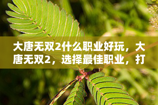 大唐无双2什么职业好玩,大唐无双2,选择最佳职业,打造卓越角色 大唐无双2什么职业好玩,大唐无双2,选择最佳职业,打造卓越角色