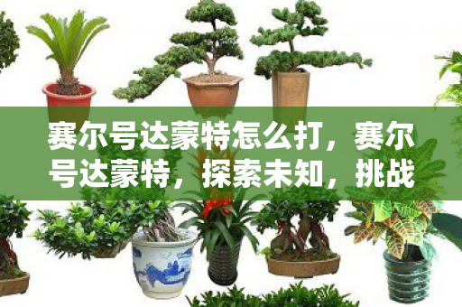 赛尔号达蒙特怎么打,赛尔号达蒙特,探索未知,挑战极限 赛尔号达蒙特怎么打,赛尔号达蒙特,探索未知,挑战极限