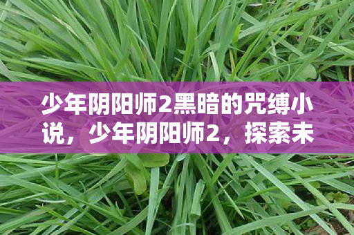 少年阴阳师2黑暗的咒缚小说,少年阴阳师2,探索未知世界的奇幻之旅 少年阴阳师2黑暗的咒缚小说,少年阴阳师2,探索未知世界的奇幻之旅