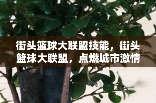 街头篮球大联盟技能,街头篮球大联盟,点燃城市激情的篮球盛宴 街头篮球大联盟技能,街头篮球大联盟,点燃城市激情的篮球盛宴