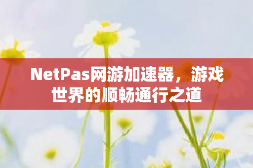 NetPas网游加速器,游戏世界的顺畅通行之道 NetPas网游加速器,游戏世界的顺畅通行之道