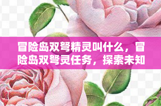 冒险岛双弩精灵叫什么，冒险岛双弩灵任务，探索未知世界的奇妙之旅