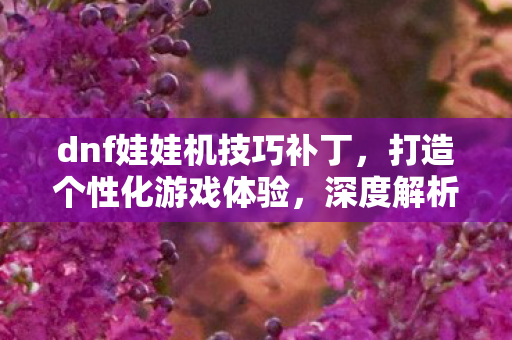dnf娃娃机技巧补丁，打造个性化游戏体验，深度解析DNF娃娃机补丁