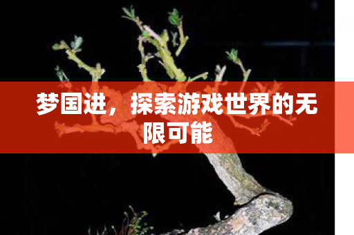 梦国进,探索游戏世界的无限可能 梦国进,探索游戏世界的无限可能