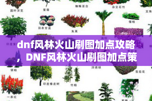 dnf风林火山刷图加点攻略,DNF风林火山刷图加点策略 dnf风林火山刷图加点攻略,DNF风林火山刷图加点策略
