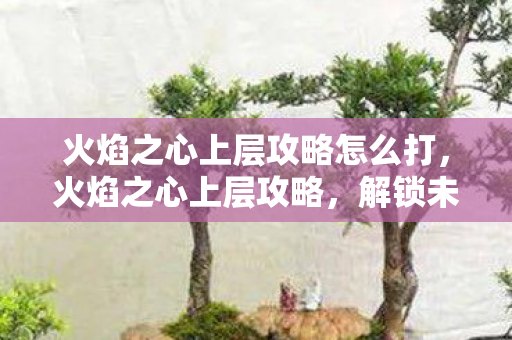 火焰之心上层攻略怎么打,火焰之心上层攻略,解锁未知领域,挑战极限战力 火焰之心上层攻略怎么打,火焰之心上层攻略,解锁未知领域,挑战极限战力