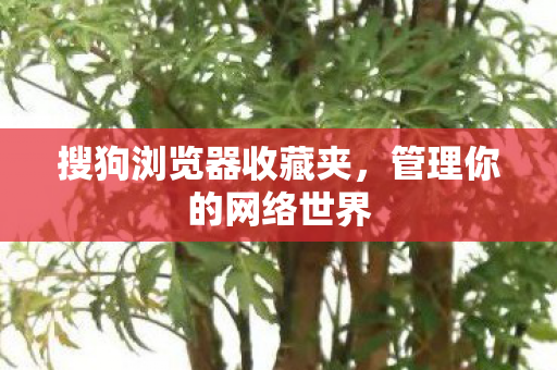 搜狗浏览器收藏夹,管理你的网络世界 搜狗浏览器收藏夹,管理你的网络世界
