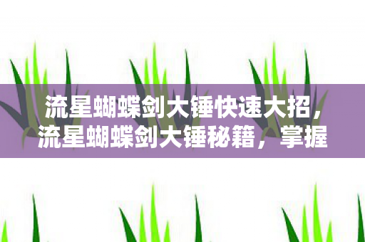 流星蝴蝶剑大锤快速大招,流星蝴蝶剑大锤秘籍,掌握重锤之力的奥秘 流星蝴蝶剑大锤快速大招,流星蝴蝶剑大锤秘籍,掌握重锤之力的奥秘
