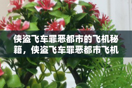 侠盗飞车罪恶都市的飞机秘籍,侠盗飞车罪恶都市飞机秘籍大全 侠盗飞车罪恶都市的飞机秘籍,侠盗飞车罪恶都市飞机秘籍大全