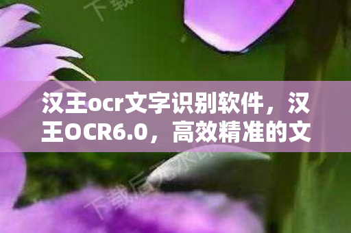 汉王ocr文字识别软件,汉王OCR6.0,高效精准的文字识别技术 汉王ocr文字识别软件,汉王OCR6.0,高效精准的文字识别技术
