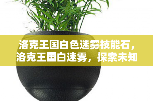 洛克王国白色迷雾技能石，洛克王国白迷雾，探索未知世界的奇幻之旅