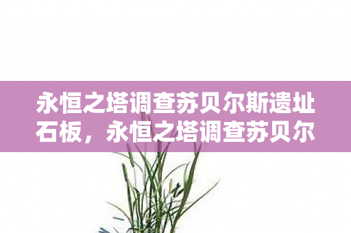 永恒之塔调查苏贝尔斯遗址石板,永恒之塔调查苏贝尔斯遗址,探索古老遗迹的奥秘 永恒之塔调查苏贝尔斯遗址石板,永恒之塔调查苏贝尔斯遗址,探索古老遗迹的奥秘