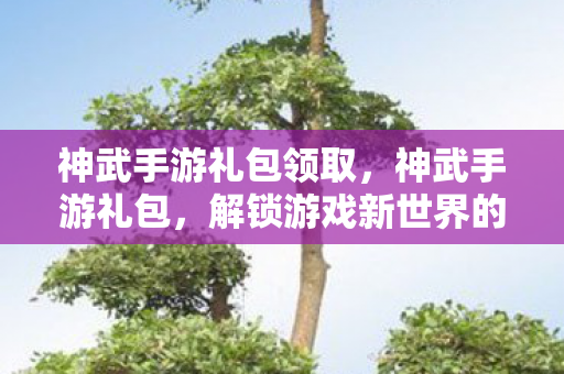 神武手游礼包领取,神武手游礼包,解锁游戏新世界的钥匙 神武手游礼包领取,神武手游礼包,解锁游戏新世界的钥匙