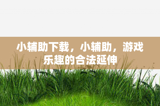 小辅助下载，小辅助，游戏乐趣的合法延伸