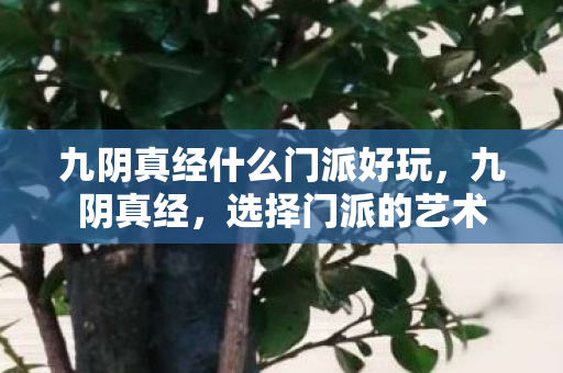 九阴真经什么门派好玩，九阴真经，选择门派的艺术