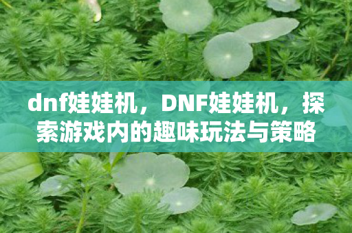 dnf娃娃机,DNF娃娃机,探索游戏内的趣味玩法与策略 dnf娃娃机,DNF娃娃机,探索游戏内的趣味玩法与策略