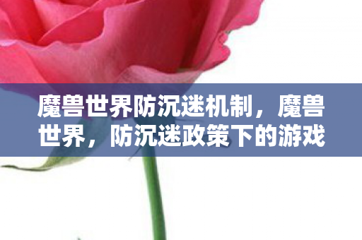 魔兽世界防沉迷机制，魔兽世界，防沉迷政策下的游戏新生态
