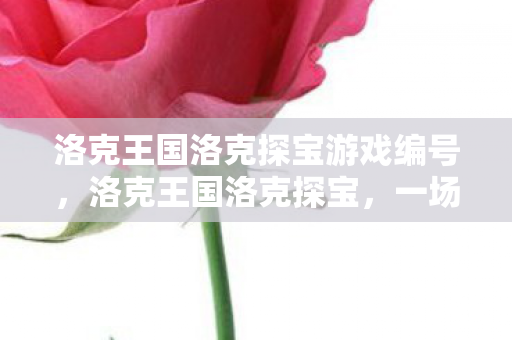 洛克王国洛克探宝游戏编号，洛克王国洛克探宝，一场奇幻的冒险之旅