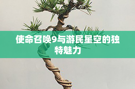 使命召唤9与游民星空的独特魅力 使命召唤9与游民星空的独特魅力