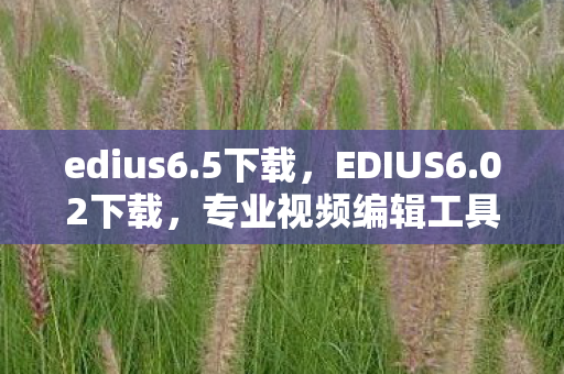 edius6.5下载,EDIUS6.02下载,专业视频编辑工具的便捷获取途径 edius6.5下载,EDIUS6.02下载,专业视频编辑工具的便捷获取途径