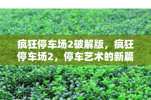 疯狂停车场2破解版,疯狂停车场2,停车艺术的新篇章 疯狂停车场2破解版,疯狂停车场2,停车艺术的新篇章