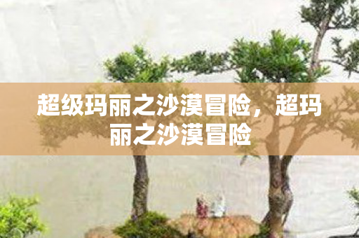 超级玛丽之沙漠冒险,超玛丽之沙漠冒险 超级玛丽之沙漠冒险,超玛丽之沙漠冒险