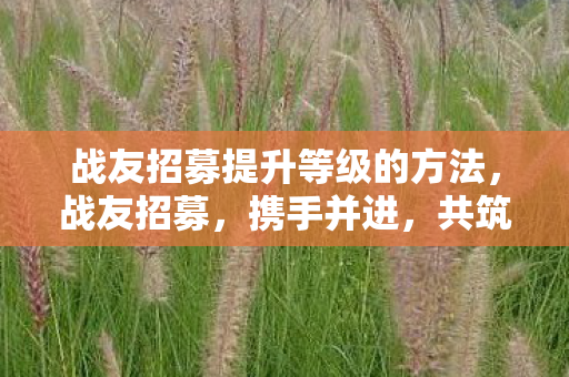 战友招募提升等级的方法,战友招募,携手并进,共筑荣耀 战友招募提升等级的方法,战友招募,携手并进,共筑荣耀