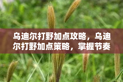 乌迪尔打野加点攻略,乌迪尔打野加点策略,掌握节奏,掌控野区 乌迪尔打野加点攻略,乌迪尔打野加点策略,掌握节奏,掌控野区
