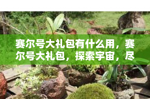 赛尔号大礼包有什么用,赛尔号大礼包,探索宇宙,尽享无限惊喜 赛尔号大礼包有什么用,赛尔号大礼包,探索宇宙,尽享无限惊喜