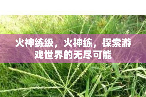 火神练级,火神练,探索游戏世界的无尽可能 火神练级,火神练,探索游戏世界的无尽可能