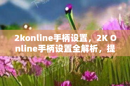 2konline手柄设置,2K Online手柄设置全解析,提升游戏操控体验 2konline手柄设置,2K Online手柄设置全解析,提升游戏操控体验