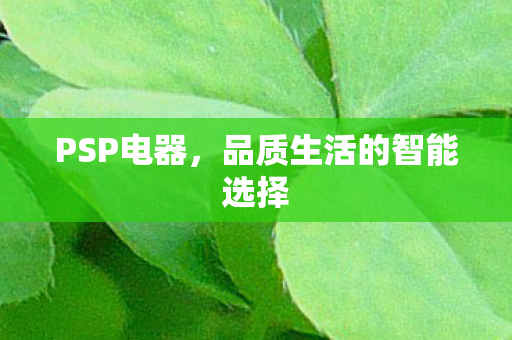 PSP电器,品质生活的智能选择 PSP电器,品质生活的智能选择