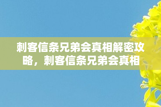 刺客信条兄弟会真相解密攻略,刺客信条兄弟会真相 刺客信条兄弟会真相解密攻略,刺客信条兄弟会真相