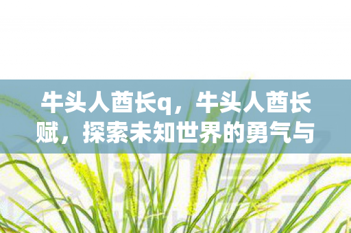 牛头人酋长q，牛头人酋长赋，探索未知世界的勇气与智慧
